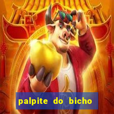 palpite do bicho deu no poste